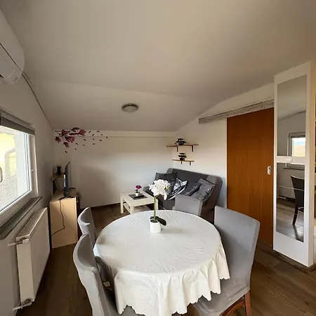 Apartma Vinko *
