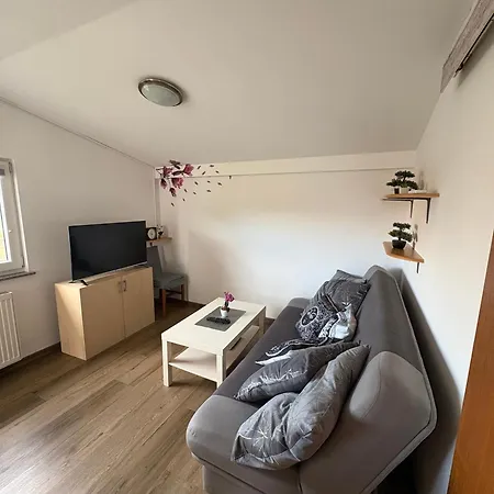 Apartma Vinko شقة