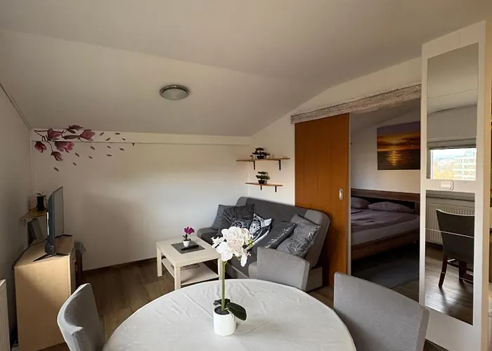 Apartmán Apartma Vinko *