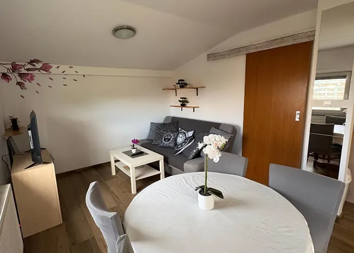 Apartman Apartma Vinko *